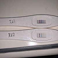 上次经期是2月25开始3月2号结束，排卵期是3月10最高峰，十一号同房了。3月22下午用验孕棒测试了，两条杠...