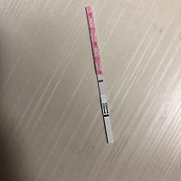 想请问一下有没有人看到印