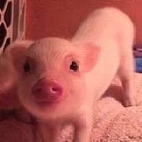 我的天呐 吃什么或者干嘛可以催产啊 都40➕5了 急死我了