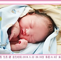 3月22日凌晨两点破羊水，晚上八点进产房，半个小时后顺产的8.5斤小男生一枚，宫缩、侧切已经让我痛到六...