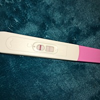 白天去药房拿了个验孕棒，刚刚测了下，应该是真有了，过几天去市里医院验血吧，不知道怎么和公婆说，不...