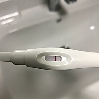 末次月经2月23号 24号早上测白板 有没有跟我一样的 这是备孕第二个月了 上个月月经前胸胀疼 这个月前几...