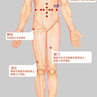 【分享实用拔罐减肥小技巧，自己在家也能做】🤗 ˇ 一：穴位定位 . ⑴腹部： √以肚脐为中心上下左右...