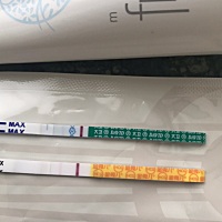 圈里的仙女们，我想问这样可以去医院验血了吗？末次2.26，排卵14