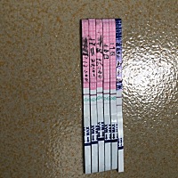 上次末次月经是28号，软件显示18号排卵，18号试纸检测如下图、晚上有白带拉丝，19号测试如下图，接下来...