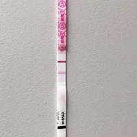 今天特意去参拜南海观音了，希望明年能回去还神，加油加油，心好累啊，为什么检查都没问题的，测了两个...