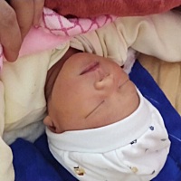 宝宝提前17天出来~两天后我才有奶水，但是现在的