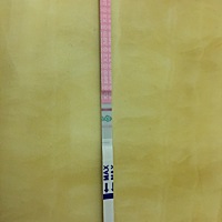 各位宝妈们还有备孕的朋友们，今天用排卵试纸测试了，请问这个算排卵吗？