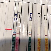 回家无聊又完了会尿，排卵试纸似乎有深了，大卫早孕看到了点点细灰，我是走火入魔了，还有能看到的啊 m