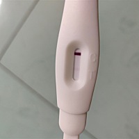 2月24日例假，这两天都没来大姨妈。这是怀孕了还是没有？