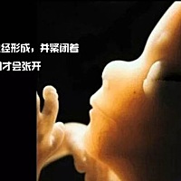 孕早期发第五课17-20周 第17——18周：胎宝宝的活动增多，或用手抓着脐带完，还会皱眉，挤眼，孕妈妈可...