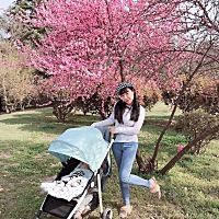 已是满园春色，院子里踏个青💗