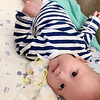 不是混血的小洋娃娃