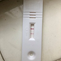 朋友们，五分钟看的，算是怀了吗？28的老姑娘了，内心的激动啊！