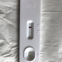 上个月月经是2月21号来的，一直月经有推迟一个星期的时间，这个月一个星期了还没来，胸胀了好几天，肚子...