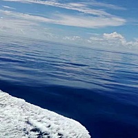 又吐了，吃的东西吐出来之后又吐出来黄水……有时吐了感觉还好！因为才八周多，黄体酮低，天天打针吃药...