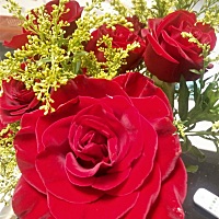 心情不错，补个午觉。