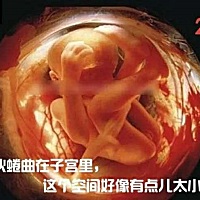 孕中期发育第六课：25-28周  25——26周：胎宝宝的皮肤呈现褶皱状，全身覆盖着一层细细的绒毛，会做出吸...