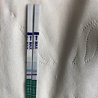 会是乌龙么……好紧张