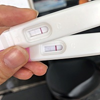 亲们看看是不是怀孕了？