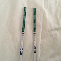 3月2号末次月经，测了排卵3月14号左右。3月25号感冒，忍着不吃药，测了早早孕没有怀孕。3月26号也没吃药...