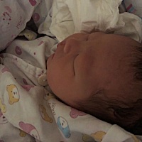 3月28日15:31分顺利产下乔治一枚，3500克，接了这么多佩奇还是不能如愿，有点失望，唯一安慰的是，这个...