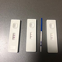 这是怀了吗？月经推迟两天，测了好几遍，今天去抽血验一下，来的太突然，打乱所有计划，8月婚礼恐怕要显...