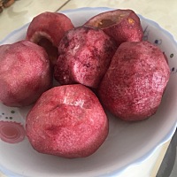 前两天给她做点小零食，炒了两小时，手都快炒废了。结果她几分钟就消灭掉了。不过还是值得高兴，总比花...