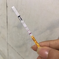 想问下，这是金秀儿的早孕试纸，这样是怀孕了么，我完全没有胸疼的感觉，一点点感觉都没有，就是本来昨...
