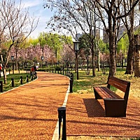 在西安，我最喜欢的公园没有之一 这里特别适合带孩子玩，中午在附近吃西餐（强烈推荐，好吃还不贵），下...