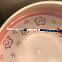 3.14号排卵，昨天晚上总海氏海诺试纸测的，有点睁眼要看瞎了才能看出来的印子，今天早上又用大卫和海氏...