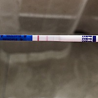 上个月生化了，28号来的例假，这个月也不抱希望了，也没想着要。图片是今天早上验的，比上个月要明显。...