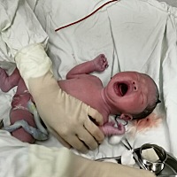 喜提一只🐷佩琪。和三维像不像？老母亲觉得你好像男孩呀，哈哈哈😄！