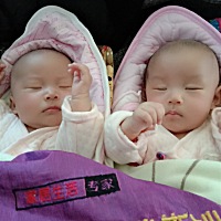 两个小公主白天睡觉，晚上折磨人