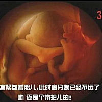 孕中期发育第七课：29-36周  第29——30周：随着视觉发育完善，胎宝宝可以透过子宫壁感知光源，并睁开眼...