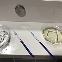 上个月2月26号来的月经。3月8号同房。就那么一次。就给中奖了。我们预计是今年11月份结婚。现在我和他爸...