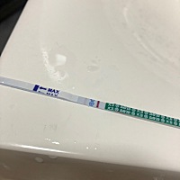 都来接好孕！抓住猪尾巴~ 末次2.28好想知道为啥有淡淡的线了还胸口胀痛，肚子有大姨妈感，慢性肠炎拉肚...