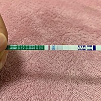 仙女们帮忙看看，是不是怀上了？