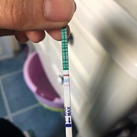 这样是怀孕吗？求解