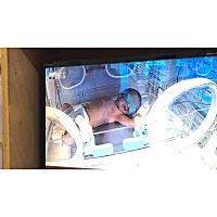 去照了两天蓝光，我的小🐷🐷今天终于要回家了，那种不舍，经历过才懂得。