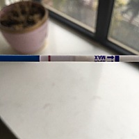 大家帮我看一下，这个是有还是没有呢？第一次用这个试纸条，同房第16天，月经明天来，谢谢！