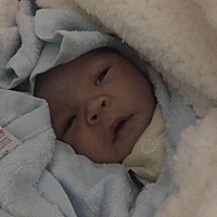 剖腹产7斤1两小朋友哦 小小猪