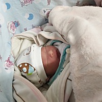3月28凌晨五点多顺产小猪乔治一枚，38周加5天，本来以为没那么快的。凌晨四点多肚子疼，接着上厕所见红...