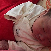 有人问我怀孕忌口没有，我只能说我除了知道怀孕以后就没喝过酒，碳酸饮料，螃蟹🦀️，其它都没有忌口...