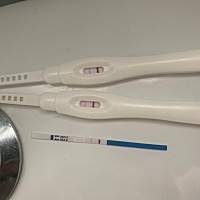 二胎孕育中……