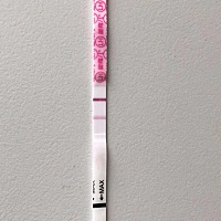 今天去打了彩超，不知道问题大不大？真的迫不及待想要宝宝，亲们帮我看看，今天是排卵后的第二天，今天...