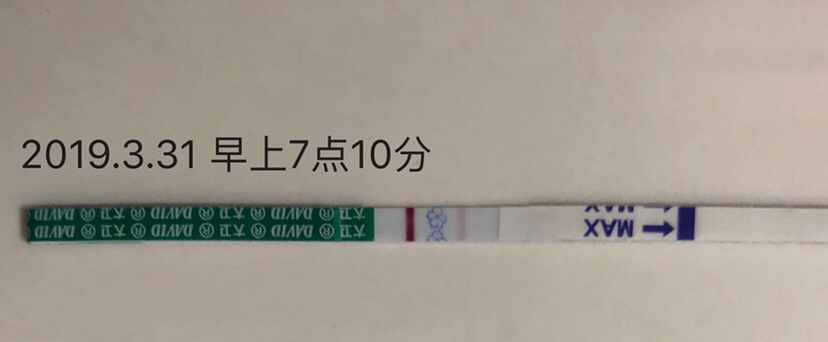 是第十三天测的结果