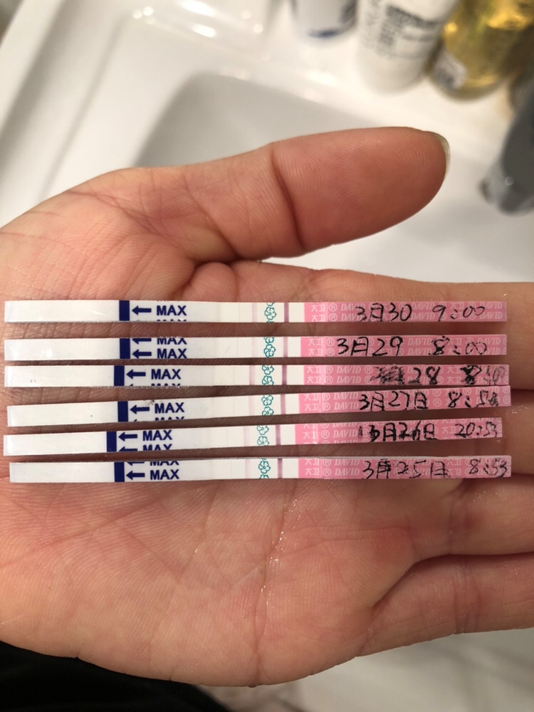 APP上面1号是排卵期，准备么？