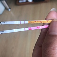 是不是怀孕了  23号排卵，过了一星期了，今天测排卵试纸竟然又强阳了，有点奇怪就用早孕试纸测了一下，...