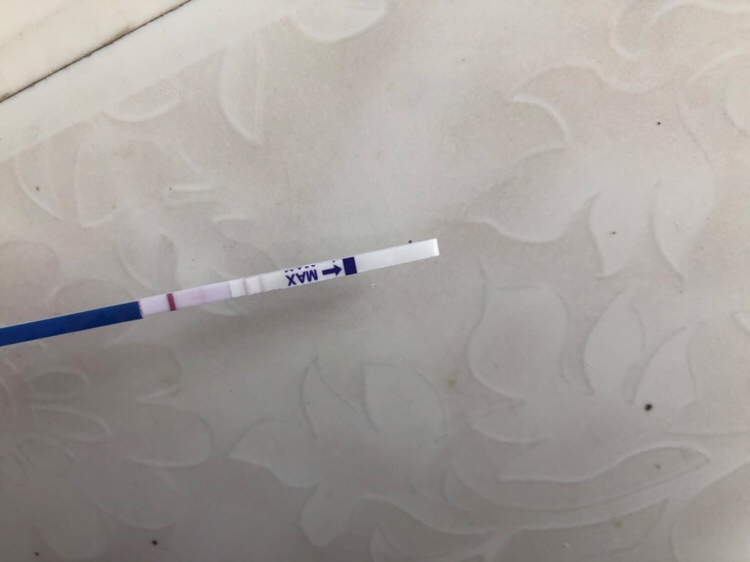 有遇到同款的吗？是不是这个月没希望了？哎